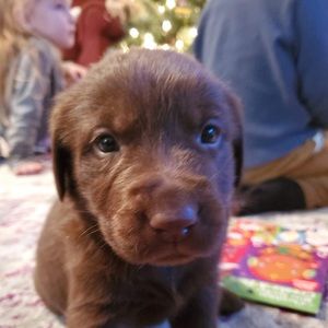 Meet your Posher, Cory